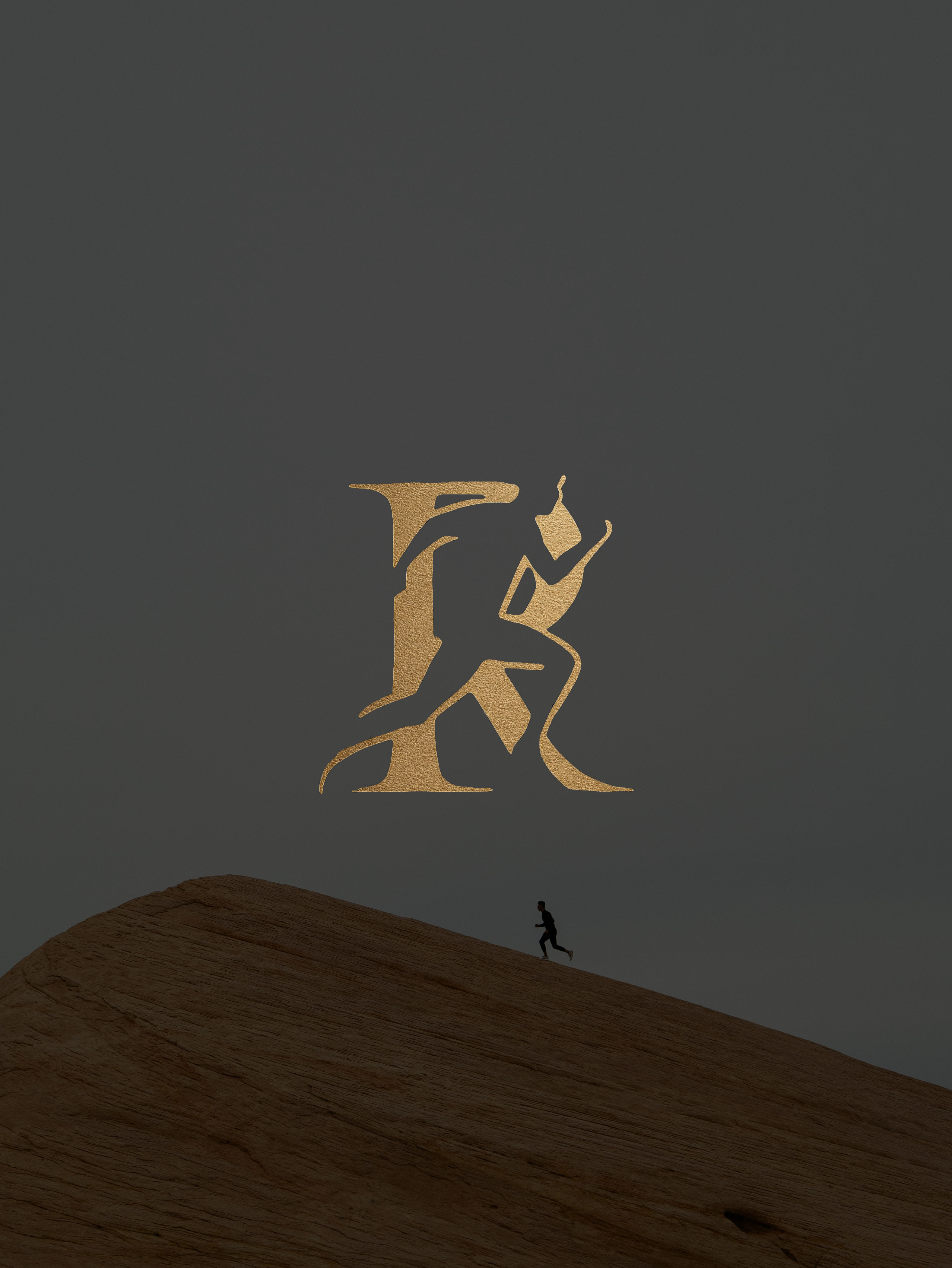 Logo Portfolio